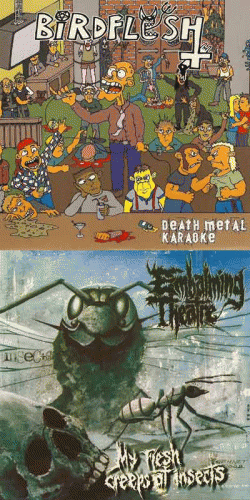Embalming Theatre : Death Metal Karaoke - My Flesh Creeps at Insects